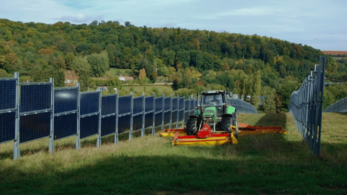 Painel solar vertical em agricultura
