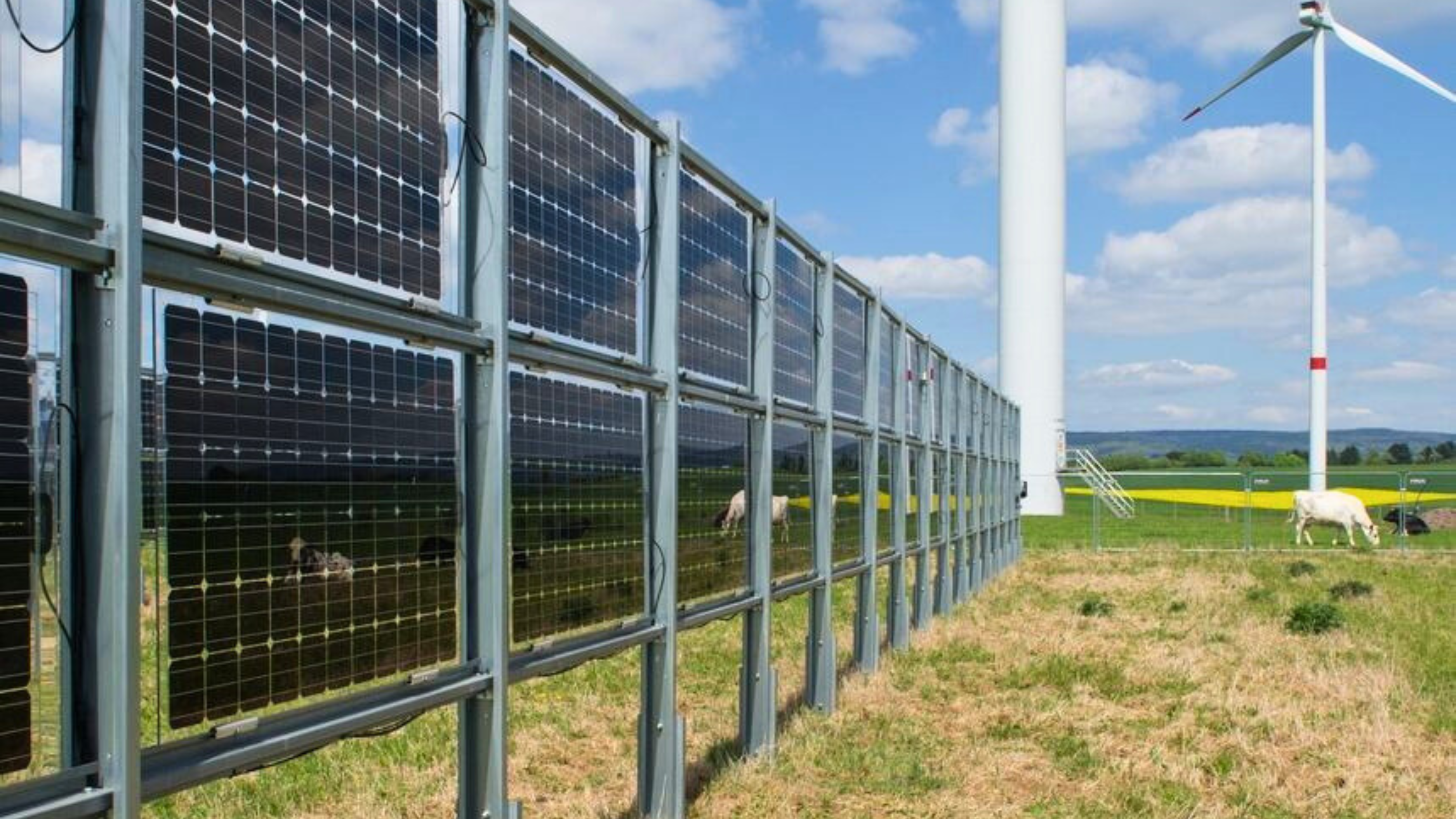 cerca solar em campo de agricultura