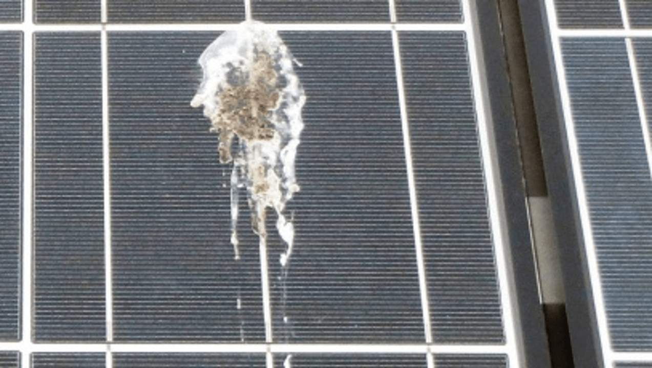 sujeira causando sombra nos módulos