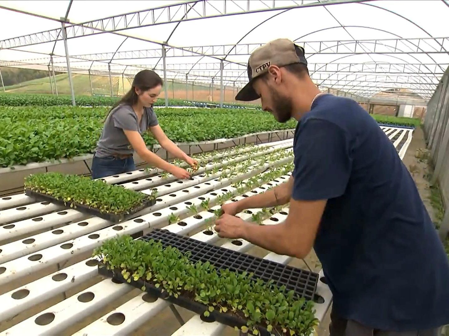 Agricultores trabalhando