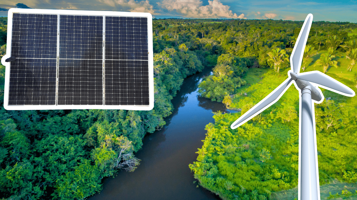 Sustentabilidade e o futuro do Brasil