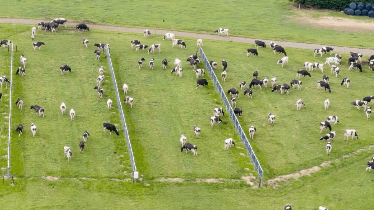 Energia limpa e ESG: caminhos para um futuro sustentável