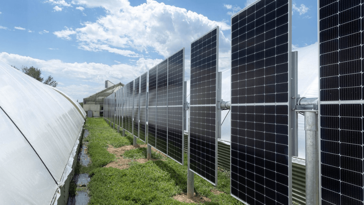 Cercas solares ganham força na Europa e USA