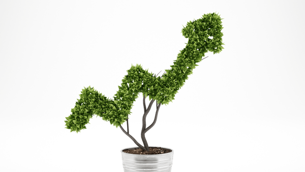 Grid Zero: a Revolução Sustentável para Empresas no ACL