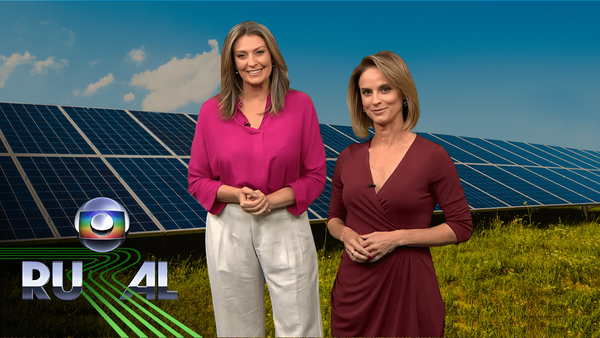 Agricultores investem em painéis solares